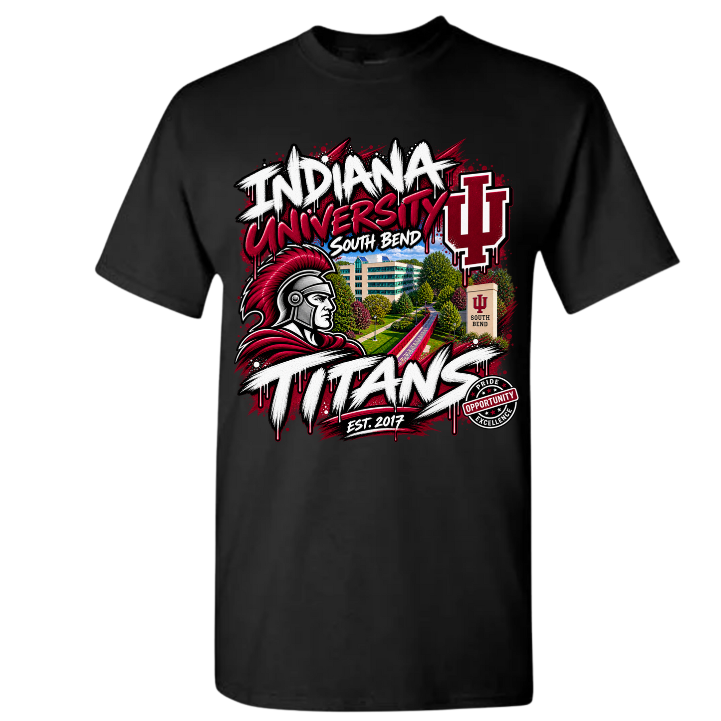 INDIANA UNIVERSITY SOUTH BEND
