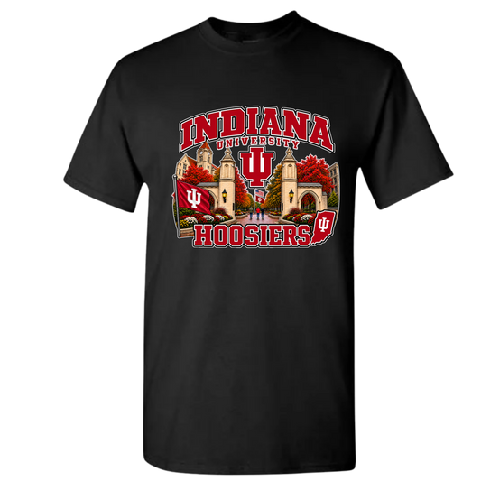 INDIANA UNIVERSITY