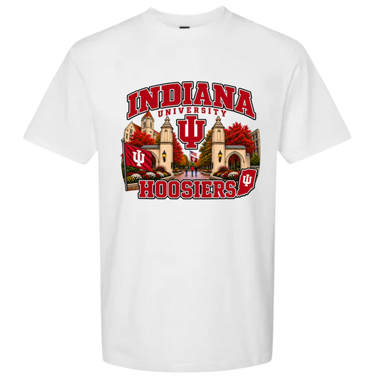 INDIANA UNIVERSITY